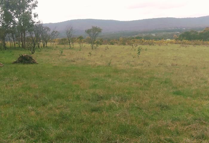 118 acres land for sale with mountains and pyrenees winery magnificent views landsborough Victoria