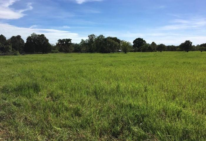 Vacant Block 6 Acres Possible future sub-division (Humpty Doo Village area)