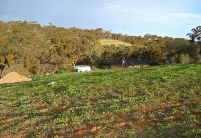 LARGE VACANT BLOCK IN NEW HANLIN'S RISE ESTATE!