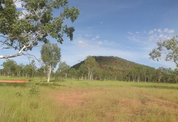 Vacant Acreage - ready for your Dream Home!