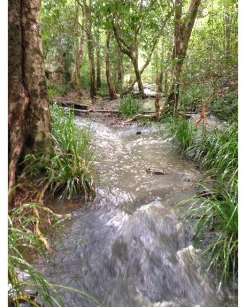 STUNNING PRIVATE AND ORGANIC. RUNNING CREEK, BILLABONG, GREAT FOR HORSES : POTENTIAL FOR SUBDIVISION AND PROFIT  