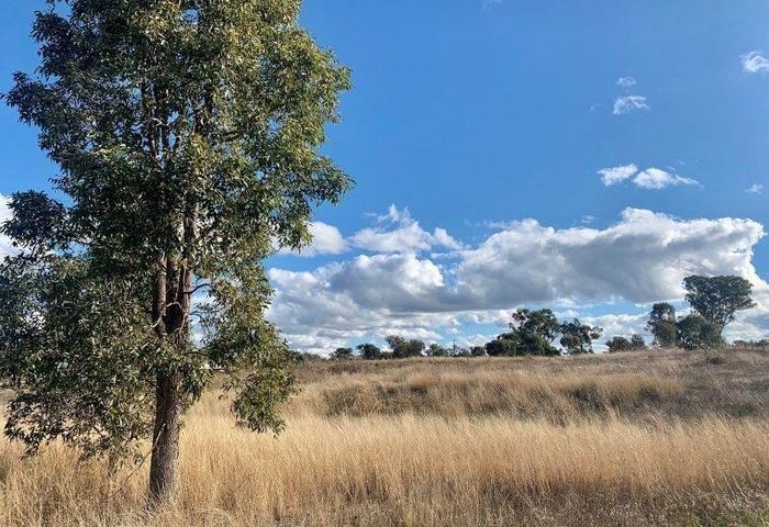 Tamworth 5 Acres Vacant Land Hard To Find!